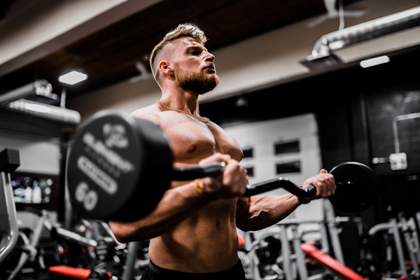 Muscle Building